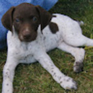 Meet your Posher, Marty